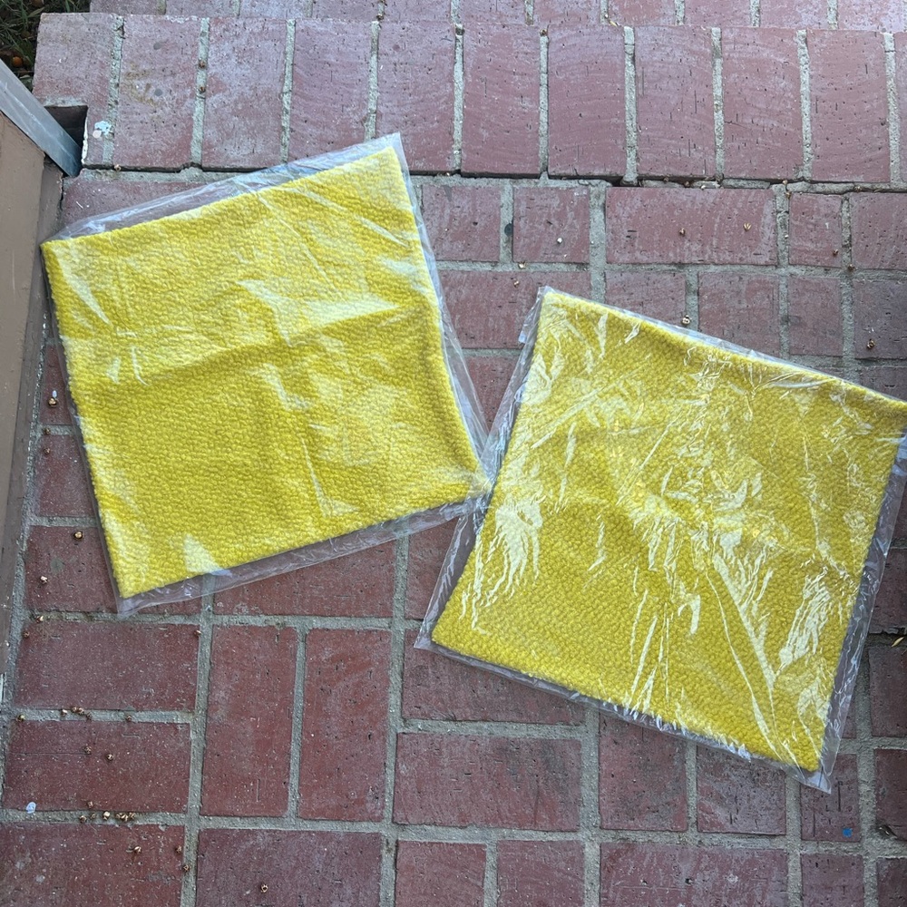 2 West Elm Pillow Cases